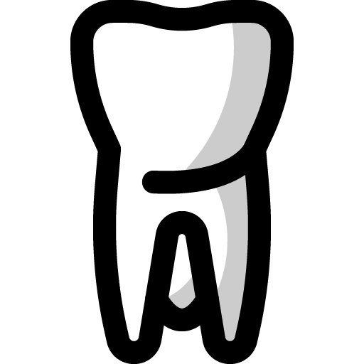 Molar 512